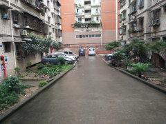 重庆花园爆料视频大全集,揭秘城市生活百态